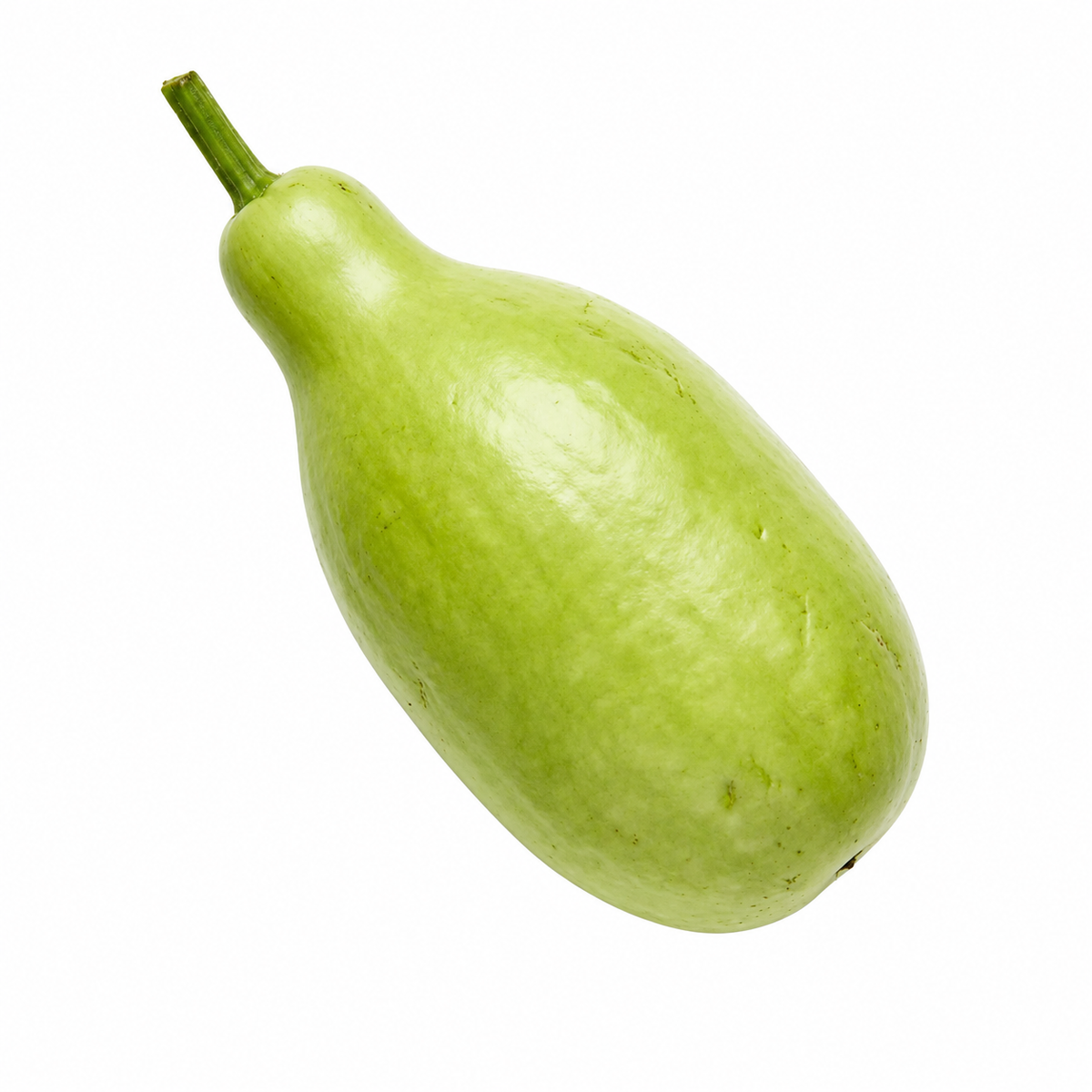 Bottle Gourd சுரைக்காய்