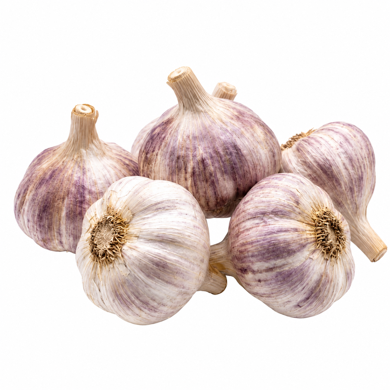 Garlic Hills Large மழைப்பூண்டு