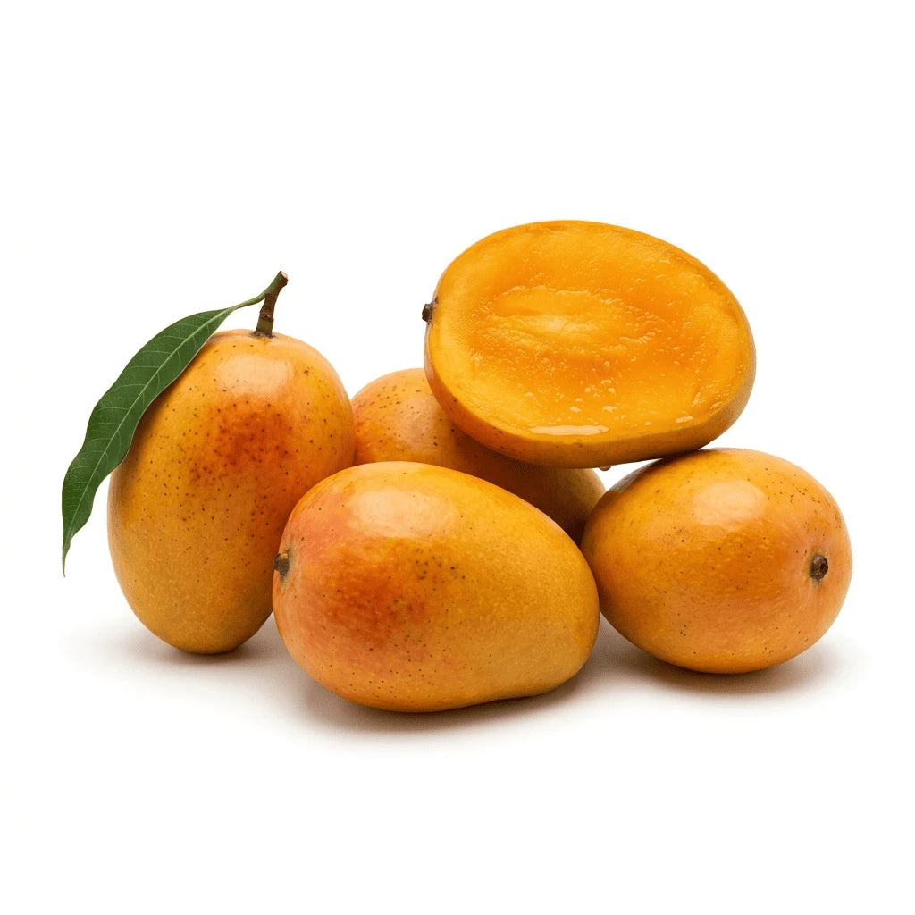 Mango (Alphonso) - அல்போன்சா மாம்பழம்