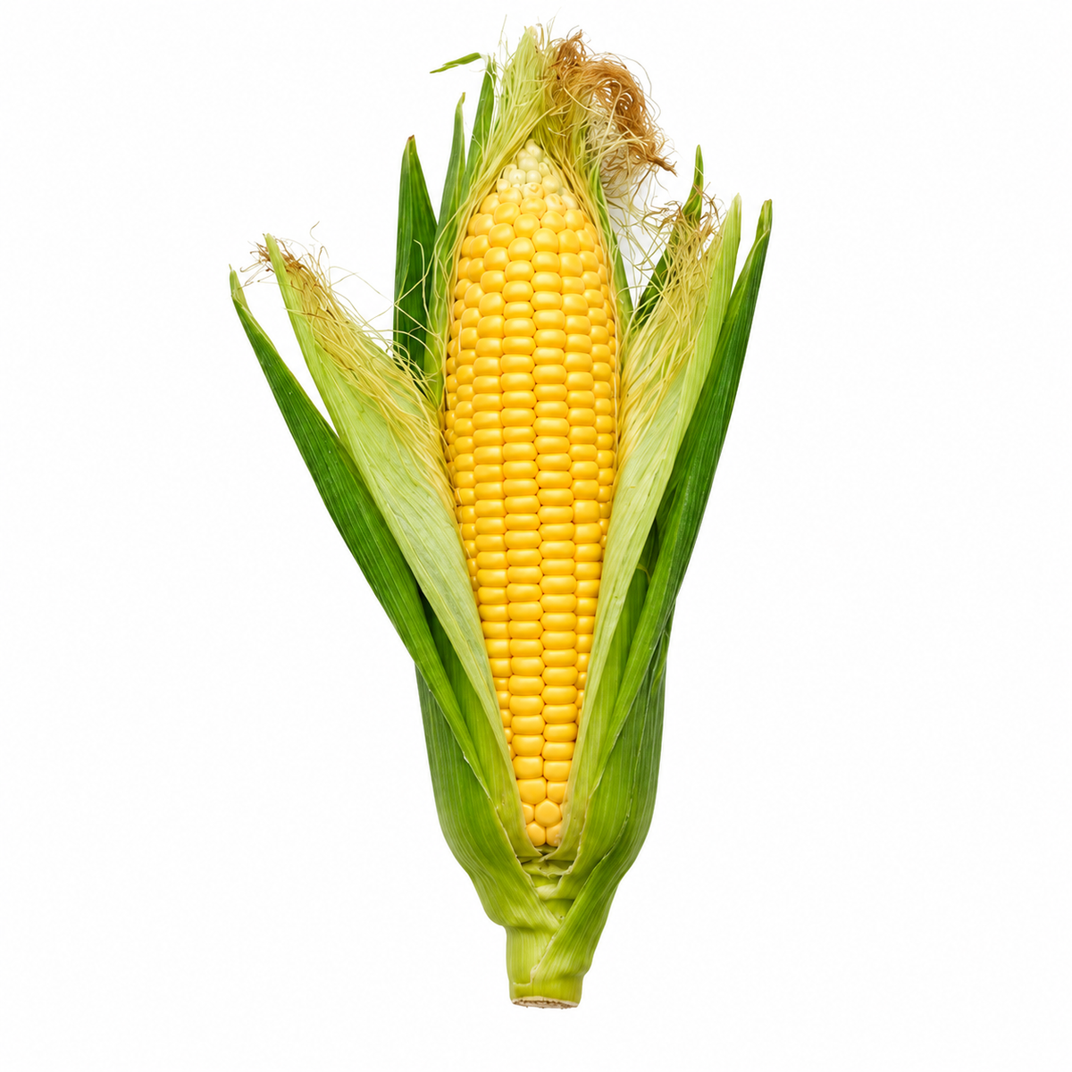 Sweet Corn இனிப்பு மக்காச்சோளம்