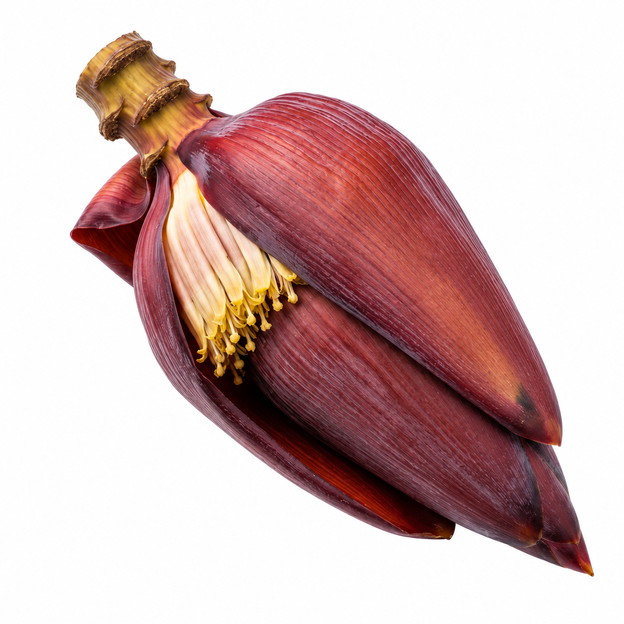 Flower Banana வாழைப்பூ