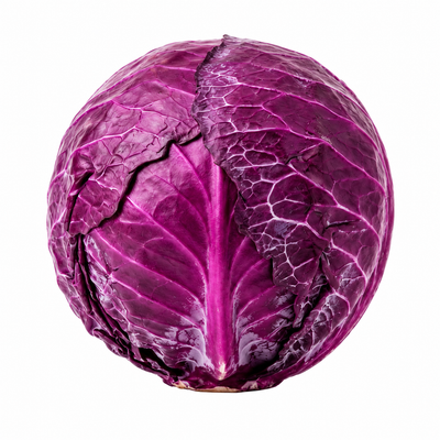 Cabbage Purple ஊதா முட்டைக்கோஸ்