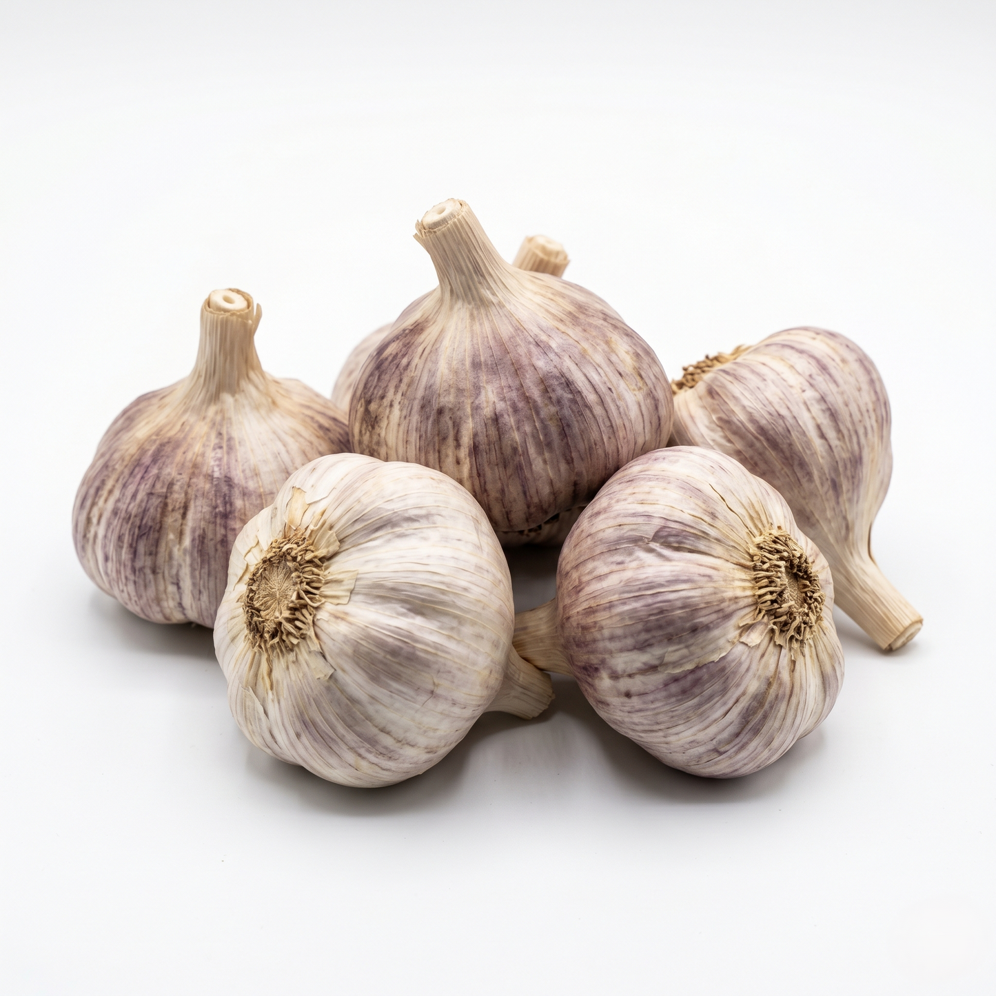 Garlic Hills Large - மழைப்பூண்டு