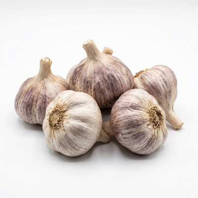 Garlic Hills Large - மழைப்பூண்டு