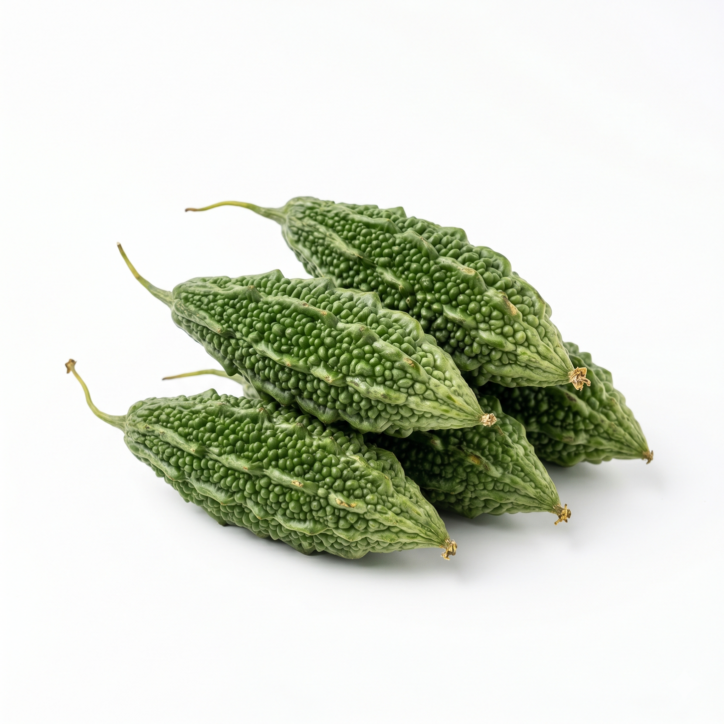 Bitter Gourd - பாவற்காய்