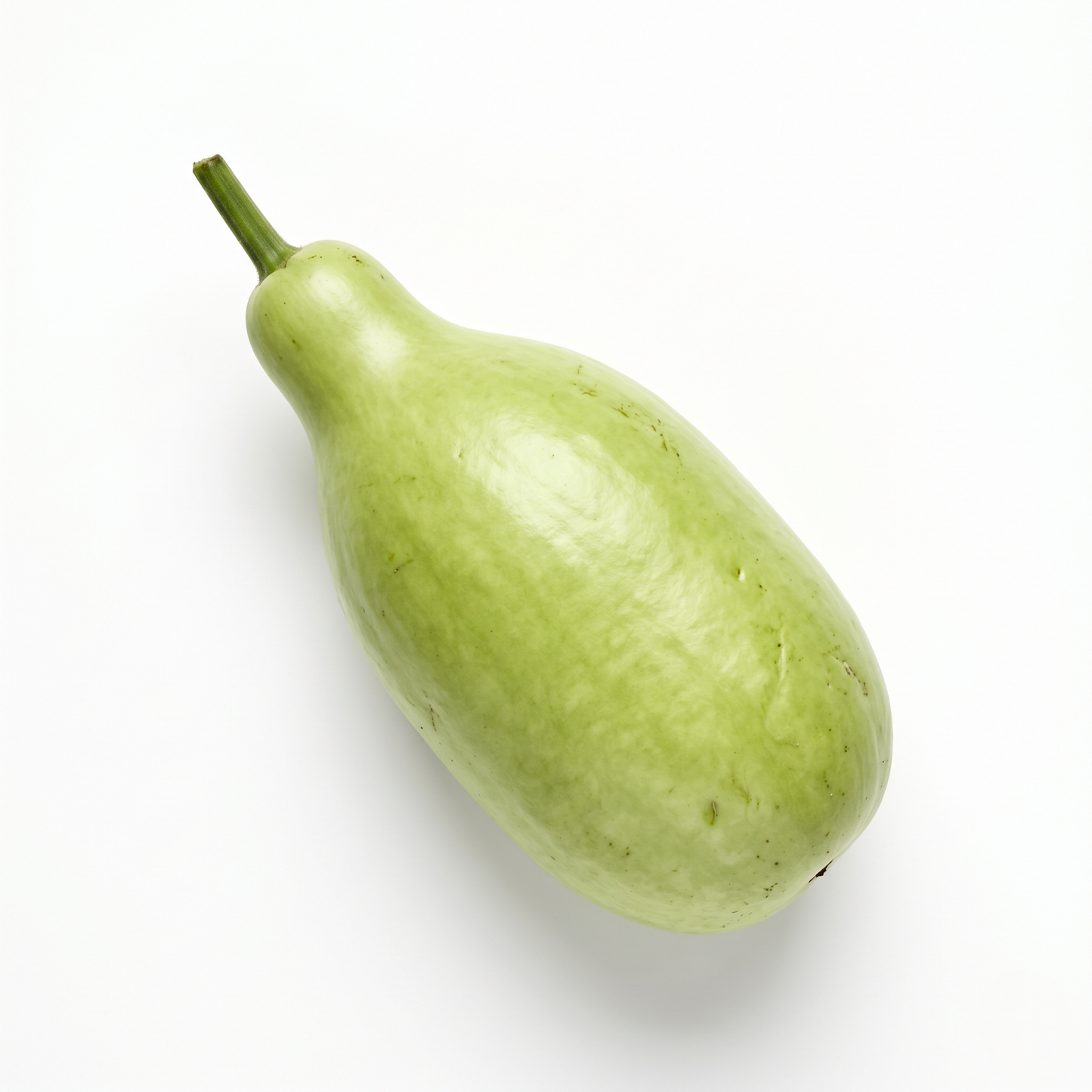 Bottle Gourd - சுரைக்காய்